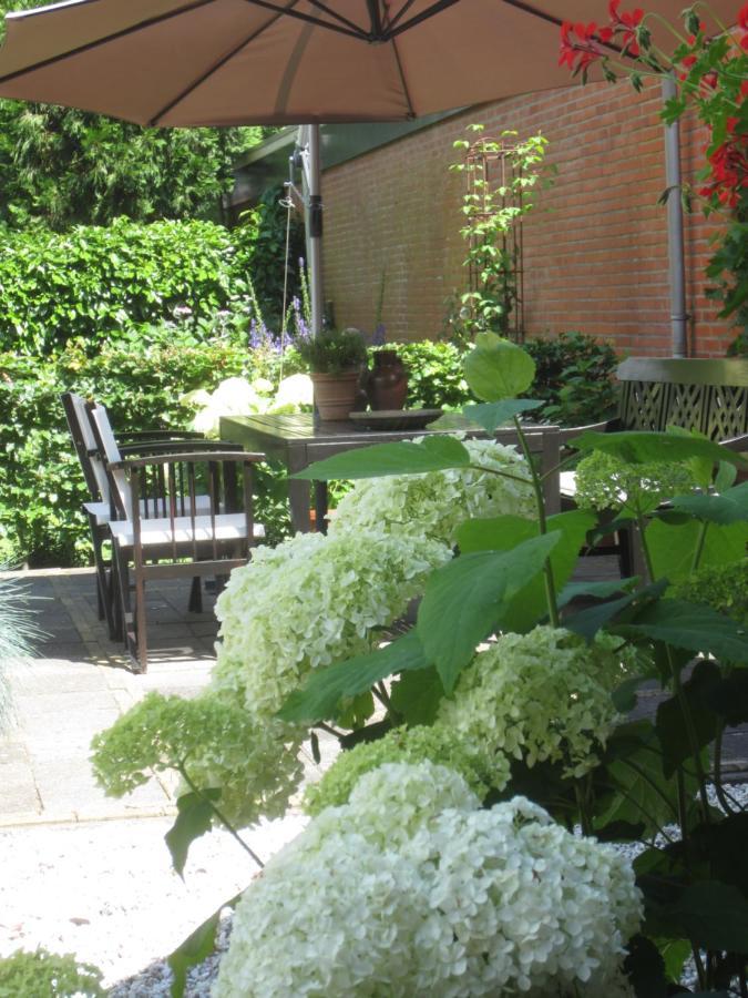 B&B De Gouden Vlo Donkerbroek Dış mekan fotoğraf